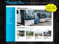 liten tingsrydsbuss.se skärmbild