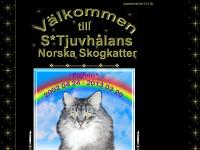 Gammalt galleri, Om mig, Kul bilder, Kattungar Gammalt galleri, Om mig, Kul bilder, Kattungar