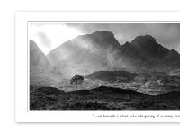 tojustbe - to just be - a journey to find a picture tojustbe - to just be - a journey to find a picture