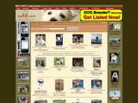 Rarities dog show, David Kauffman, Create Your Badge Rarities dog show, David Kauffman, Create Your Badge