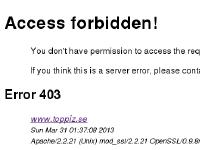 liten toppiz.se skärmbild
