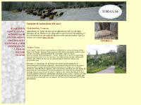 toran.se lammskinn, f