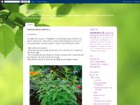 liten tradgardsfrid.blogspot.com skärmbild liten tradgardsfrid.blogspot.com skärmbild