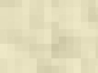 trailtrowhighlandponies - Trailtrow Highland Ponies, Scottish Bred Highland Ponies