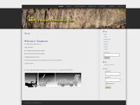 liten transtronic.se skärmbild liten transtronic.se skärmbild