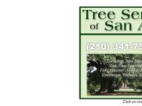 Welcome To Tree Service Of San Antonio Welcome To Tree Service Of San Antonio