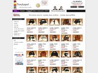 Cowhide rugs - A-quality cowhide rugs from £139. Cowhide rugs - A-quality cowhide rugs from £139.