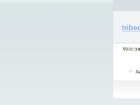 liten tribecacapital.se skärmbild liten tribecacapital.se skärmbild