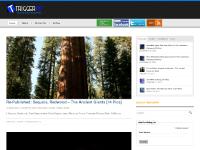 triggerpit.com Popular, Latest, Tags triggerpit.com Popular, Latest, Tags