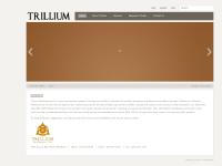 Trillium Development Specializes in Build to Suit | Turnkey Wind Energy | Tower Construction and Tower Maintenance Trillium Development Specializes in Build to Suit | Turnkey Wind Energy | Tower Construction and Tower Maintenance