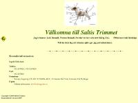 statistik för trimmet - Saltis Trimmet statistik för trimmet - Saltis Trimmet