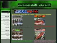  Nosy Be, Nosy Faly (Oorana Mena), Nosy Mitsio (Mafana), Veiled Chameleons