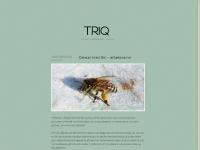 liten triq.nu skärmbild liten triq.nu skärmbild