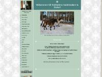 liten trolldalenssadelmakeri.se skärmbild liten trolldalenssadelmakeri.se skärmbild