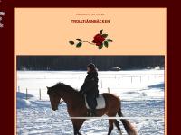 Trolltj&auml;rnb&auml;cken, beautiful Black & Chokolate Labrador Retrievers and J&auml;mthundar in North of Sweden