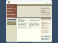 TSNE - Non-profit Capacity Building, Leadership & Management Support