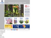 The Sun Valley Group Floral Farm, Floral Wholesalers  The Sun Valley Group Floral Farm, Floral Wholesalers