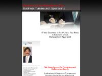 Business Crisis Management Specialist - Business Crisis