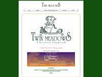 Twin Meadows Boundless Playground