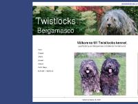 liten twistlocks.se skärmbild