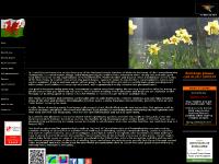 4 Star Bed and Breakfast accommodation in Towy Valley, Carmarthen, Carmarthenshire, Wales, UK 4 Star Bed and Breakfast accommodation in Towy Valley, Carmarthen, Carmarthenshire, Wales, UK