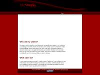  Who are my clients?, What can I do?, Tyler Struyk, Themes 24/7