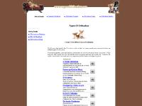 A Guide To The Different Types Of Chihuahua A Guide To The Different Types Of Chihuahua