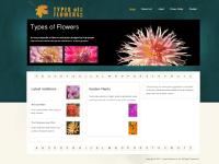 typesofflowers.co.uk types of flowers, flower names, flowers encyclopedia typesofflowers.co.uk types of flowers, flower names, flowers encyclopedia