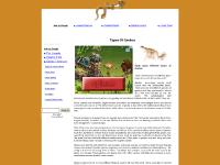 Types Of Geckos - Information on Geckos Types Of Geckos - Information on Geckos