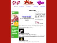 Types Of Orchids | Orchid Types