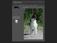  Litters, Future plans, [Skip], ULFUR ALADDIN