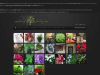 Under A Shady Tree | Photo-filled planting ideas Under A Shady Tree | Photo-filled planting ideas