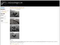 UnderseaImages.com