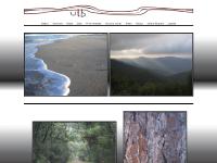  Bark, Pine needles, Ground cover, Trees