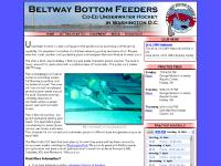 underwaterhockey.com Getting Started, Equipment, Underwater Society of America