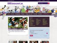 liten ungkonsument.se skärmbild liten ungkonsument.se skärmbild