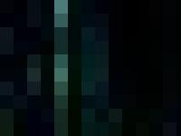 unicornmusic.net Unicorn, Gilmour, David Gilmour