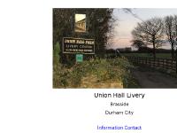 union-hall-livery.co.uk Union Hall Farm Livery Stable Stables Paddock Paddocks Service Services Horse Horses Shetland Shetlands Mare Mares Foul Fouls Full DIY Turnout Bring-in