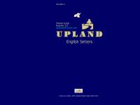 uplandenglishsetters - WELCOME TO UPLAND ENGLISH SETTERS - BOULDER, CO