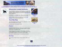 Australian Labradoodle Breeder Allergy Friendly Labradoodles Multi Gen Puppies For Sale Australian Labradoodle Breeder Allergy Friendly Labradoodles Multi Gen Puppies For Sale