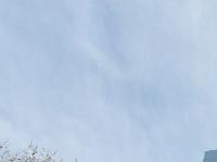 My Website | Just another WordPress site