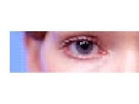 Valley of the Dolls - photography by Helen Solomon