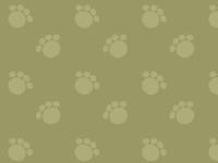 Welcome to Vet Tracker - Connecting Pet lovers with pet Professionals