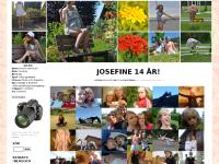 vickevictoria.blogg.se Vardag, Kommentera här ? (0), Trackbacks ()