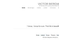 Victor Bergman | My Pixels