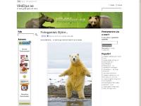 liten vilddjur.se skärmbild liten vilddjur.se skärmbild