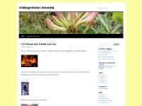 vildkaprifolen fotosida | Fotokurs 2011 vildkaprifolen fotosida | Fotokurs 2011