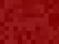 Virginie Vignon, Doctor of Art History