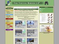 virtualbirder.com Virtual Birder, virtual tour, virtual birding tour virtualbirder.com Virtual Birder, virtual tour, virtual birding tour