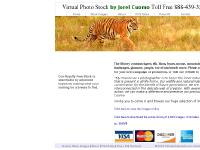 Nature Stock Photography, Fashion, Glamour, Portrait, People, Flower, Landscapes, Birds, Animal Pictures, Nature, Wildlife, Photos, Animals, Insect, Pictures, Photography, Pics, Pix, Stock, About, Info, Information Nature Stock Photography, Fashion, Glamour, Portrait, People, Flower, Landscapes, Birds, Animal Pictures, Nature, Wildlife, Photos, Animals, Insect, Pictures, Photography, Pics, Pix, Stock, About, Info, Information